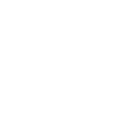 icon persona natural